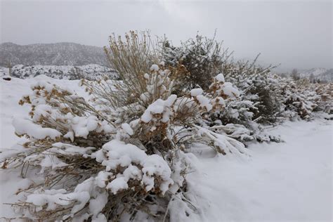 Paiute Word of the Month | Paiute Indian Tribe of Utah