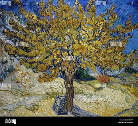 Vincent van Gogh Mulberry Tree Stock Photo - Alamy