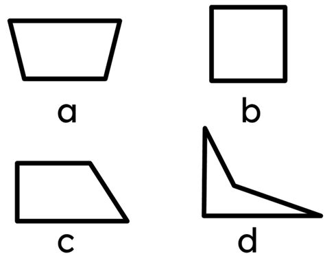 rectangle    sided polygon    angles