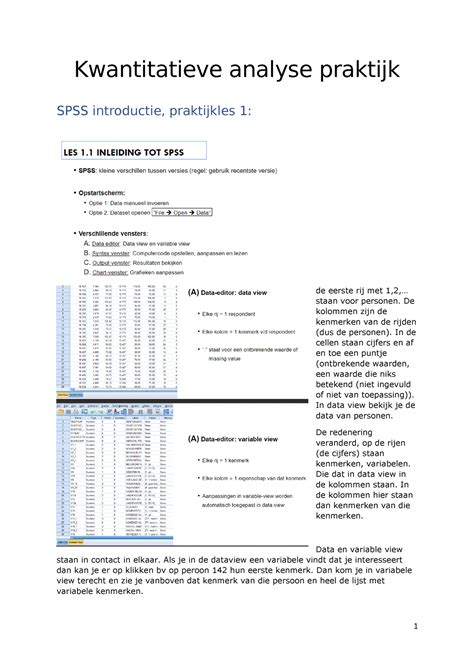 Kwantitatieve Analyse Praktijk Staan Voor Personen De Kolommen Zijn De Kenmerken Van De