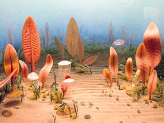 History of Earth - Ediacaran Period - (Proterozoic Eon)