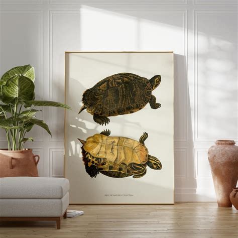 Sea Turtle Painting Vintage Turtle Digital Art Coastal Wall Art Sea