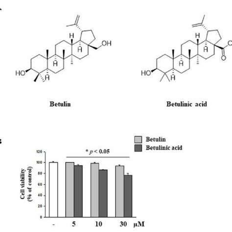 Chemical Structure Of Betulin And Betulinic Acid And Measurement Of