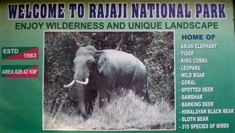 Rajaji National Park: The Land Of Wildlife And Adventure