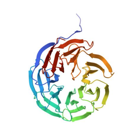 RCSB PDB - 6UCS: Discovery and Structure-Based optimization of potent ... 