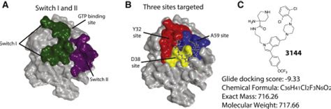 Multivalent Small Molecule Pan RAS Inhibitors Cell