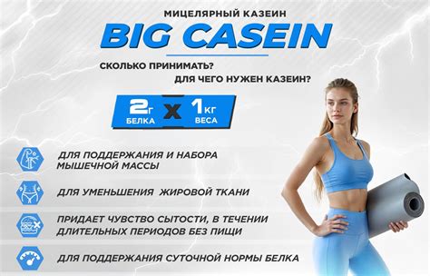 Казеин BIGSNT BIG CASEIN, мицеллярный для набора мышечной массы / 840 ...