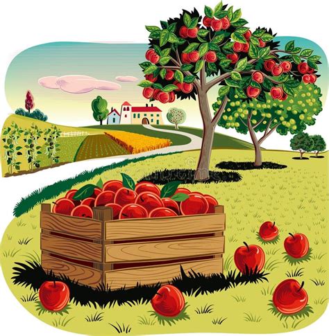 Orchard Stock Illustrations – 25,009 Orchard Stock Illustrations ...