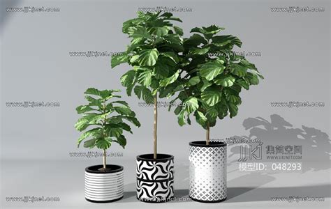 H52 0629植物盆景盆栽绿植花盆3d模型下载 【集简空间】「每日更新」