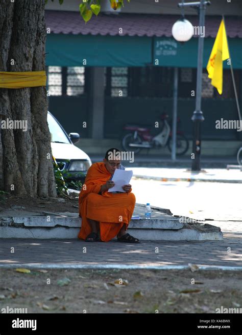 Daily Life In A Buddhist Monastery Buddhist Monk Reads A Book Under A