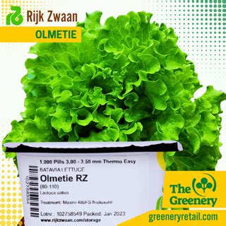 Olmetie By Rijk Zwaan Upscale Green Batavia Pelletized Lettuce Seeds