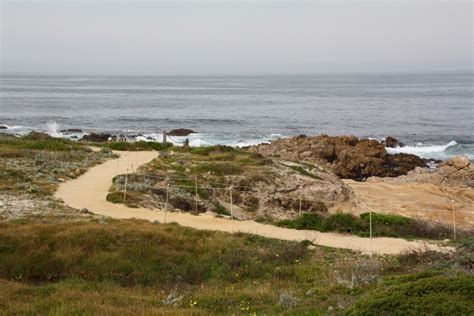 Asilomar State Beach, Pacific Grove, CA - California Beaches