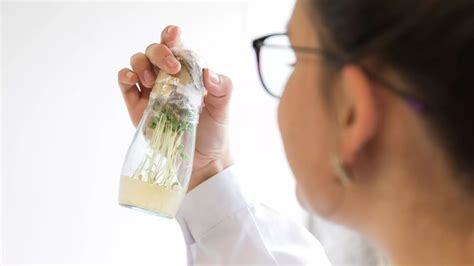 Biotecnologia em Portugal: Carreira e Salário | Farmacia dos Jeronimos
