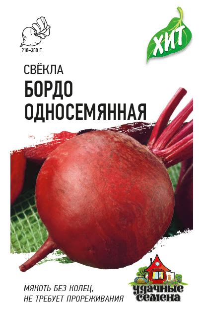 СВЕКЛА