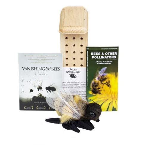 Bee Conservation Discussion Kit®