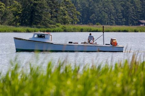 Premium Photo | Man on a crabbing boat, kent island, chesapeake bay