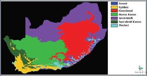 What Is The Largest Biome In South Africa? Find Out Now! November 2024 ...