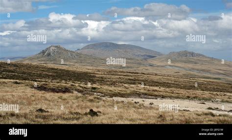 Falkland Islands - Bodie Peak and the Cantera Mountains Stock Photo - Alamy