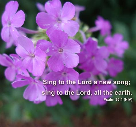 Sing to the Lord a new song; sing to the Lord, all the earth. Psalm 96: ...