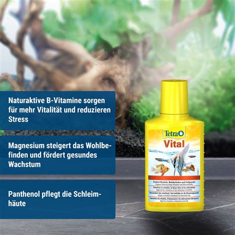 Tetra Tetra Vital - Olibetta Online Shop