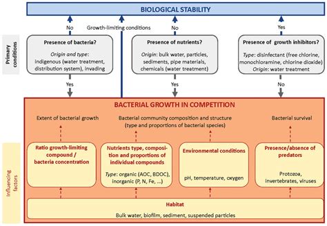 👍 Bacterial growth factors. Bacterial Growth Curve (Theory ...