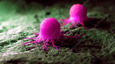 Illustration Of A Cancer Cell Stock Image F023 4963 Science Photo