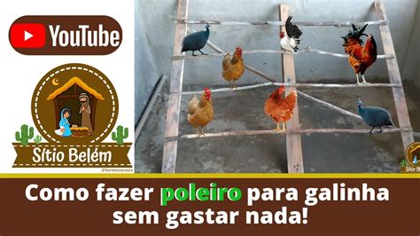 Como Fazer Um Poleiro Para Galinha Sem Gastar Nada Poleiro Galinha