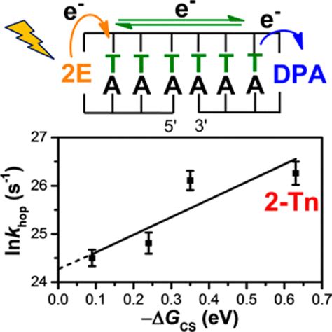 Excess Electron Transfer In DNA By A Fluctuation Assisted Hopping