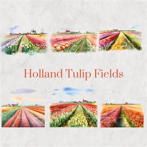 Holland Tulip Fields Watercolor Clipart Set Hand-painted Dutch ...