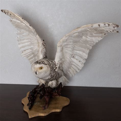 Snowy Owl Taxidermy Bird Mount White Owl Mounted Stuffed Birds For