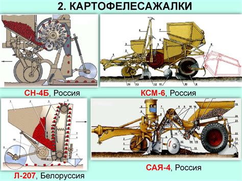 Машины для возделывания корнеклубнеплодов и других овощей - презентация ...