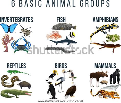 Groups Reptiles: Over 3,786 Royalty-Free Licensable Stock Vectors & Vector Art | Shutterstock