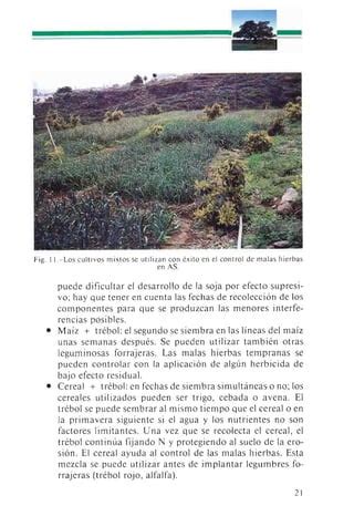 Agricultura Sostenible Pdf