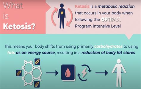 Try Our Ketosis Diet Plan | Optifast ME