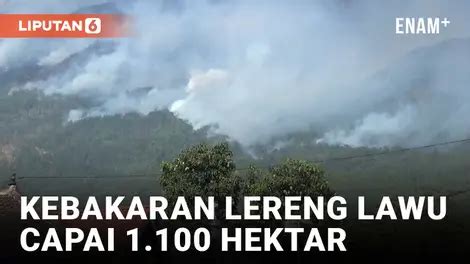 Video Gunung Lawu Kebakaran Hari Ini Video Terbaru Terkini Liputan