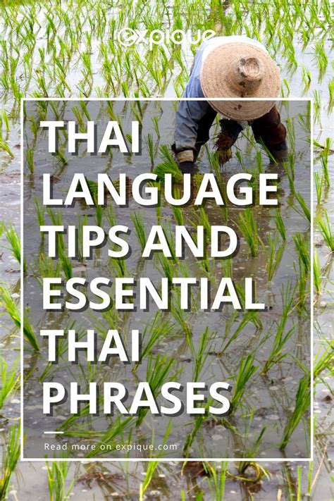 Thai Language Tips And Essential Thai Phrases Thai Phrases Learn