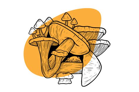 A Trip To The Bedroom The Impact Of Psychedelic Shrooms On Sex Tripsitter