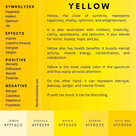 Meaning of the Color Yellow: Symbolism, Uses, And More