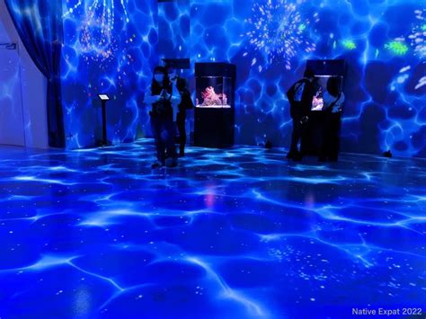 Artistic aquarium in Tokyo – Native Expat