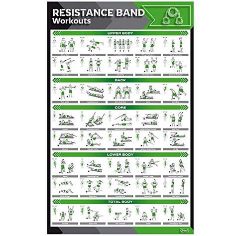 QuickFit Resistance Loop Bands Workout Poster Laminated Exercise Chart