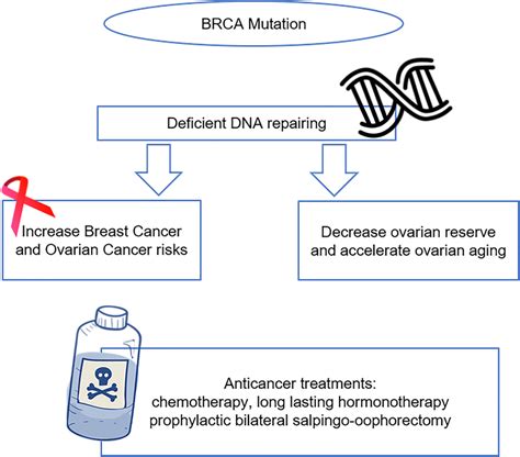 BRCA Mutation And Its Negative Impact On Reproductive Potential