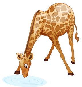 Giraffe Drinking Water Free Clipart - Free Clipart Library