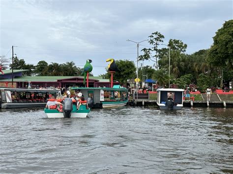 Tortuguero National Park is a Haven for Wildlife - Journeys With Steve