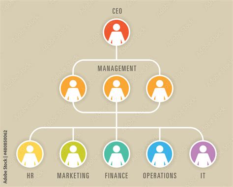 Business chart showing corporate structure of company. Vector ...