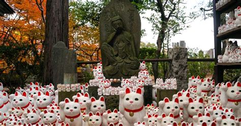 Temple Gotokuji Ce Qu Il Faut Savoir Sur La Visite Du Chat Qui Fait