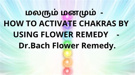 How To Activate Chakras By Using Flower Remedy Dr