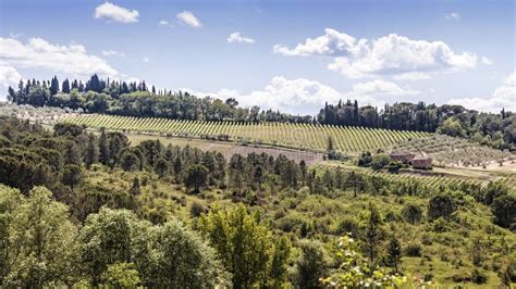 Vineyards in Chianti stock photo. Image of italian, hilly - 2743186