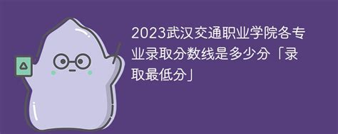 2023武汉交通职业学院各专业录取分数线是多少分「录取最低分」 新高考网