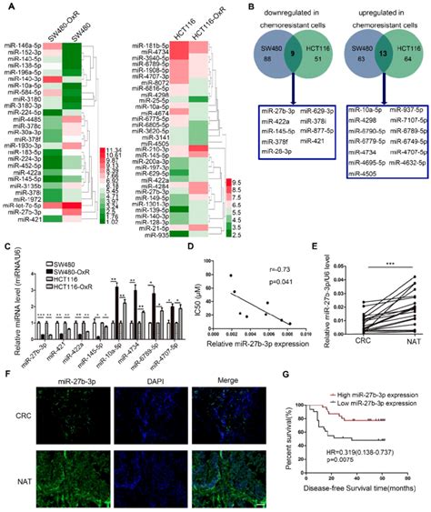 Oxaliplatin Resistant Colorectal Cancer Cells Express Decreased Levels