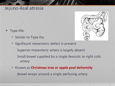 Bowel Anatomy Atresia Volvulus Meckels Diverticulum Dr Amit